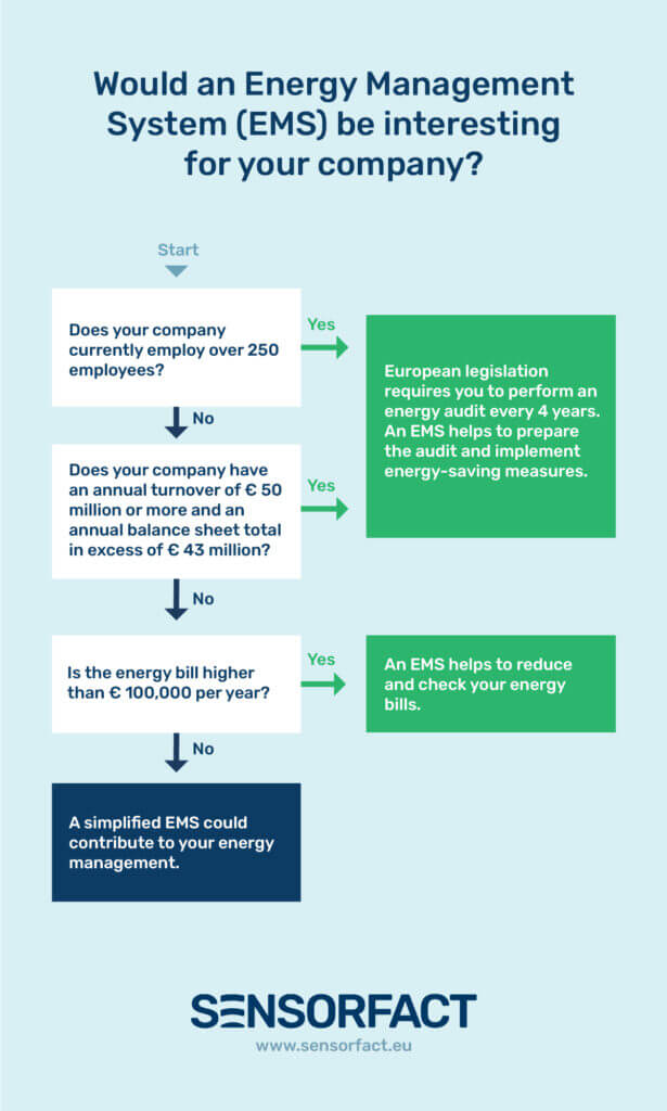 EMS Energy Efficiency Directivective - EN